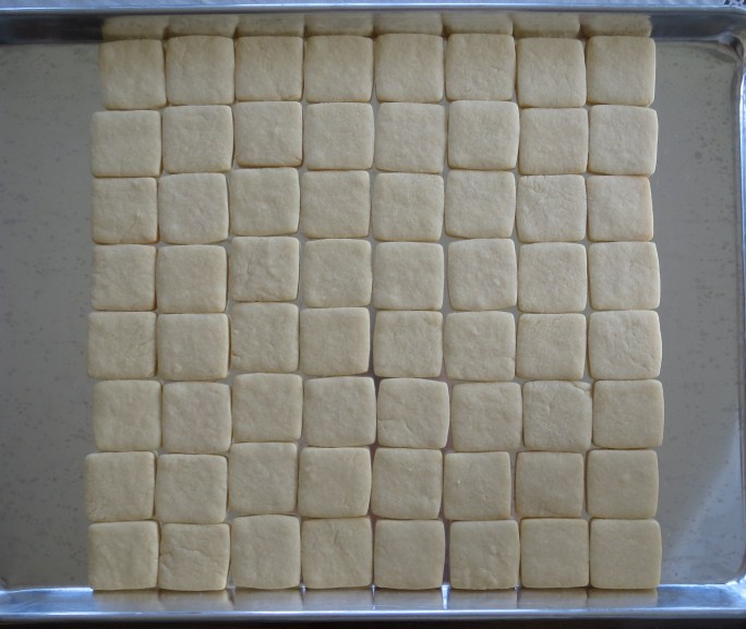 Minecraft cookie squares